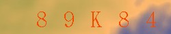 Kontrolní kód