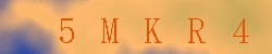Kontrolní kód