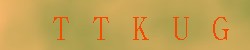 Kontrolní kód