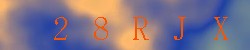 Kontrolní kód