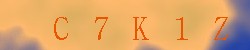Kontrolní kód