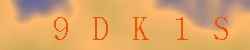 Kontrolní kód