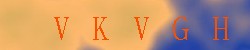 Kontrolní kód